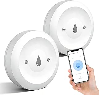 2 Pièces Detecteur De Fuite d
