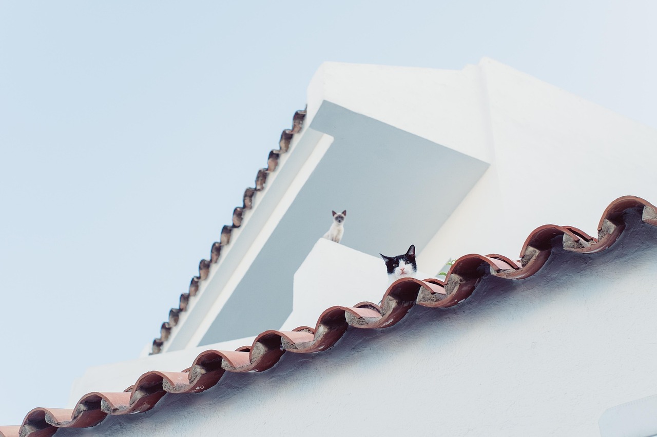 découvrez les signes indiquant qu'il est temps de remplacer votre toit. guide complet pour détecter les problèmes de toiture et assurer la protection de votre maison.