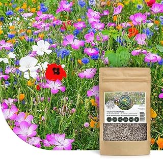 Mélange de fleurs sauvages annuelles et vivaces - 250 g pour 125 m² - 62 variétés de fleurs multicolores riches en nectar - Attire abeilles et papillons