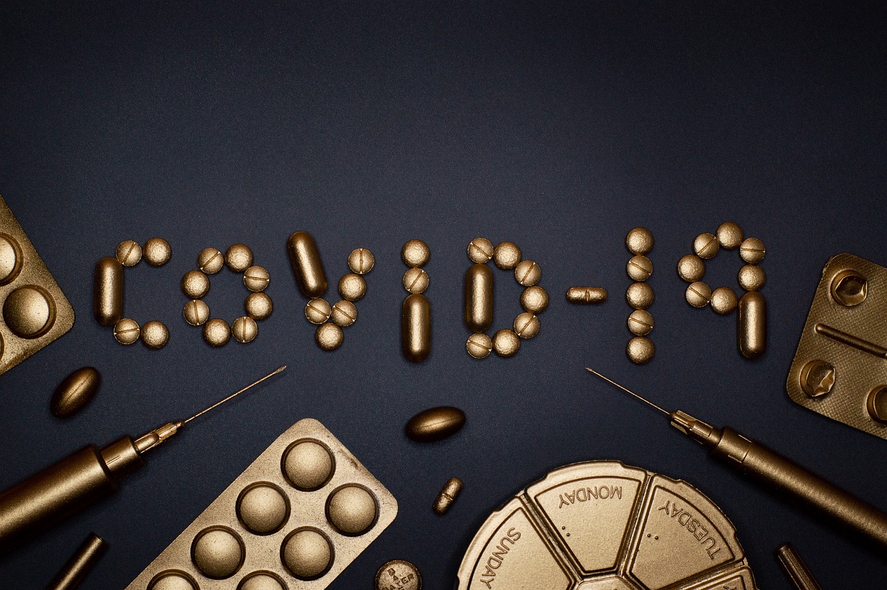 Quand et comment traiter sa charpente contre les insectes xylophages ?
